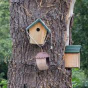 Bird nesting boxes from Canva