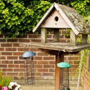 Open bird table from Canva