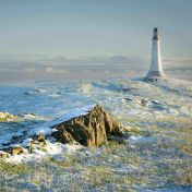 JANUARY Andy CARPENTER Wintry Hoad Cat A