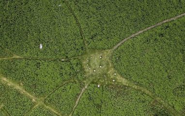 Aerial image of Birkrigg Stone Circle before vegetation clearance