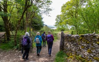 Natures Gems_Gemma Wren