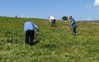 Volunteers at Birkrigg