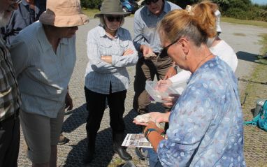Dr Alison Burns showing volunteers casts of deer footprints © Kevin Grice