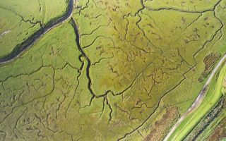 Aerial view of salt marsh at Cockerham Wildey Media