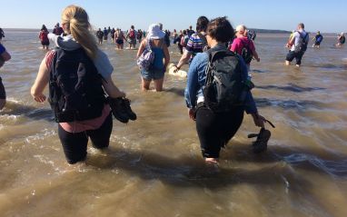Cross Bay Walk 2019 Teresa Kirk