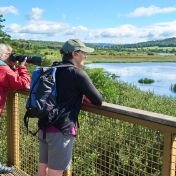 Bird watching at RSPB Leighton Moss Wildey Media