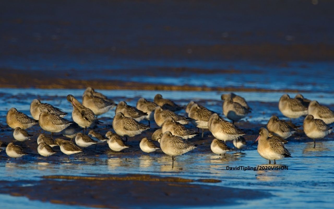 Our current projects Morecambe Bay Partnership