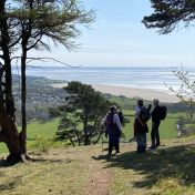 Walkers Arnside Knott J Haughton